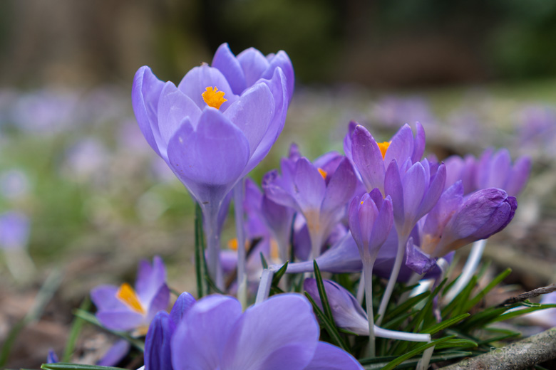 Frühlingsluft Frühlingsluft