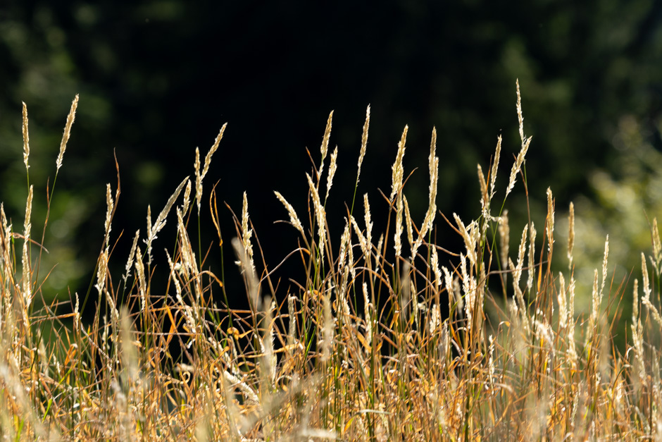 Sommerzeit